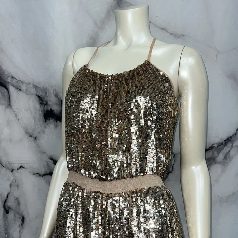 * Parker dress gold silver sequined